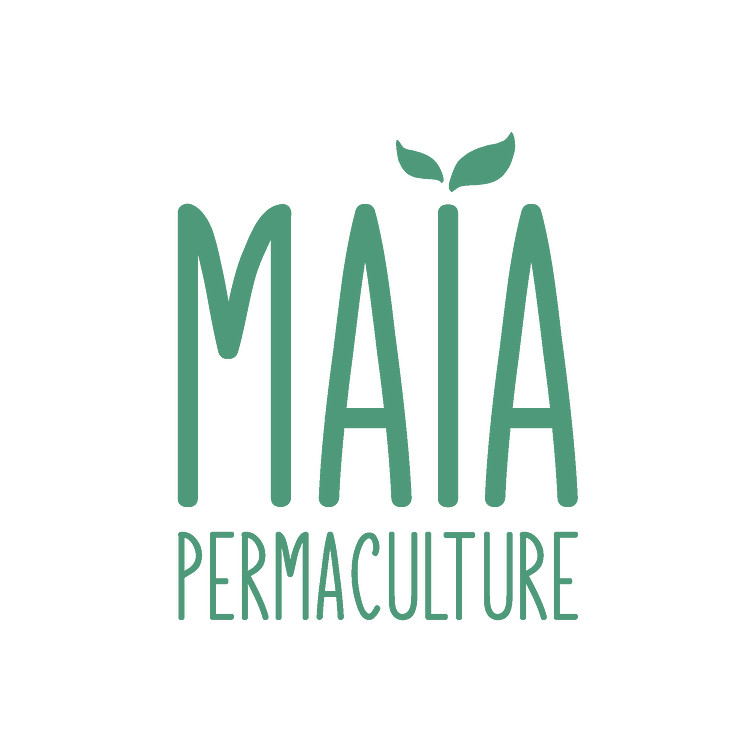 bc40b63b90bb3cb37e91fbb633f3ce278b9cb892_2_750x750