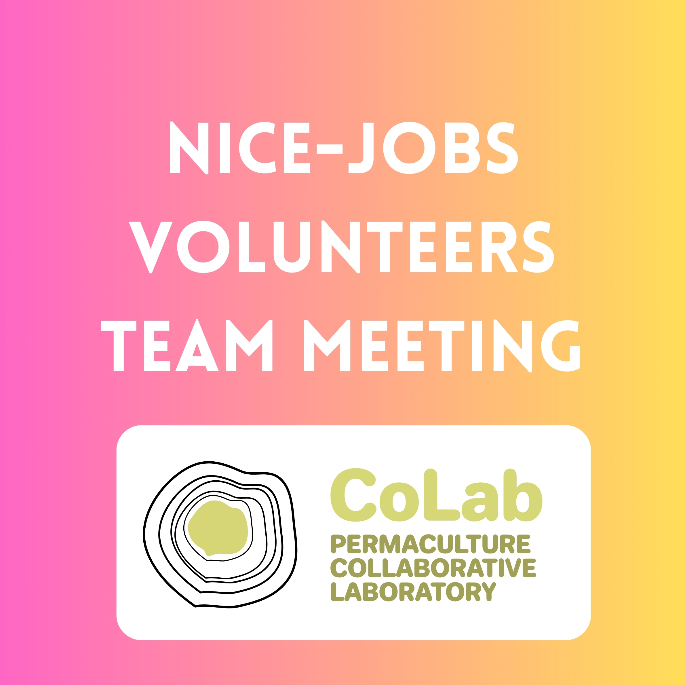 CoLab – Nice-Jobs Volunteer Team meeting