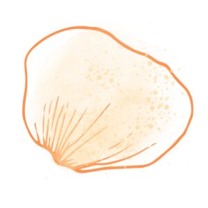 Aimee’s Introduction to Beekeeping Notebook  (Andalucia)