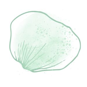 CoLab Micro-Enterprise Video Series