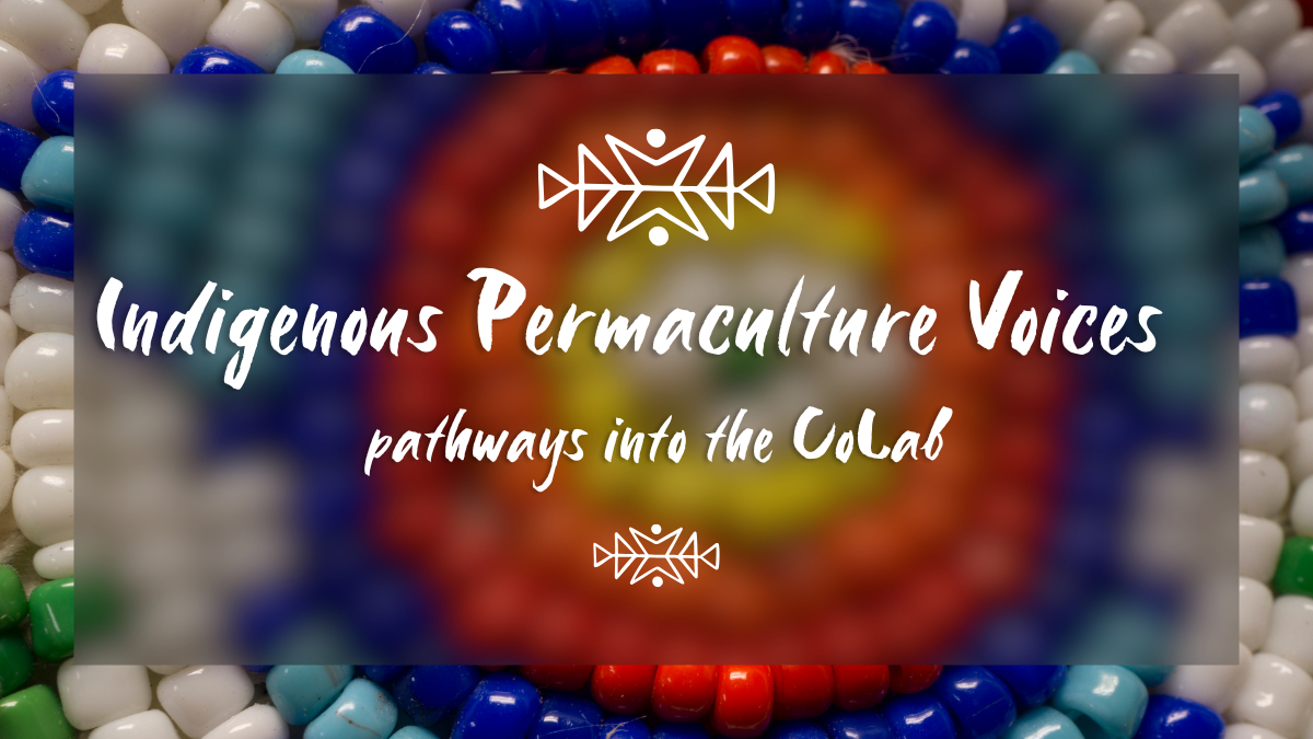 Indigenous Voices in Permaculture Session 1: Orientation and Clarity